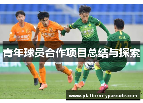 青年球员合作项目总结与探索
