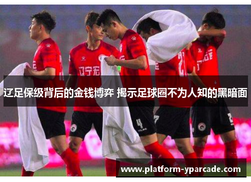 辽足保级背后的金钱博弈 揭示足球圈不为人知的黑暗面 辽足保级背后的金钱博弈 揭示足球圈不为人知的黑暗面