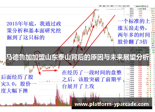 马德鲁加加盟山东泰山背后的原因与未来展望分析 马德鲁加加盟山东泰山背后的原因与未来展望分析