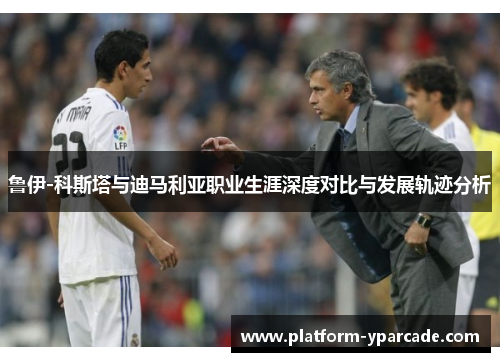 鲁伊-科斯塔与迪马利亚职业生涯深度对比与发展轨迹分析