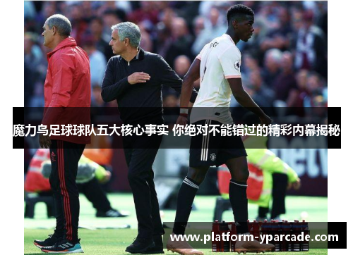 魔力鸟足球球队五大核心事实 你绝对不能错过的精彩内幕揭秘 魔力鸟足球球队五大核心事实 你绝对不能错过的精彩内幕揭秘