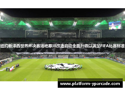 纽约新泽西世界杯决赛场地草坪改造启动全面升级以满足FIFA比赛标准 纽约新泽西世界杯决赛场地草坪改造启动全面升级以满足FIFA比赛标准